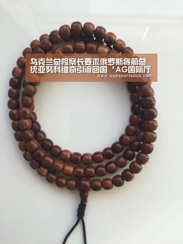 乌克兰总检察长要求俄罗斯将前总统亚努科维奇引渡回国‘AG国际厅’(图3) AG国际厅