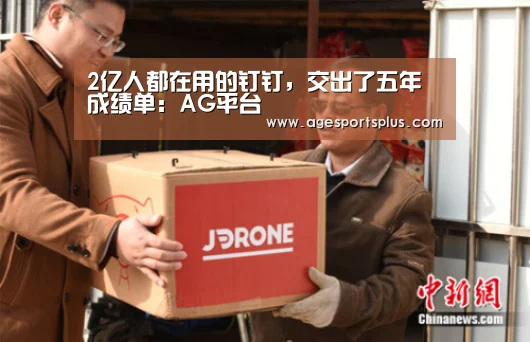 2亿人都在用的钉钉,交出了五年成绩单:AG平台(图3) AG平台