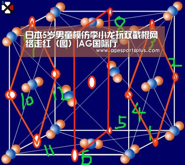日本5岁男童模仿李小龙玩双截棍网络走红(图)|AG国际厅(图1) AG国际厅