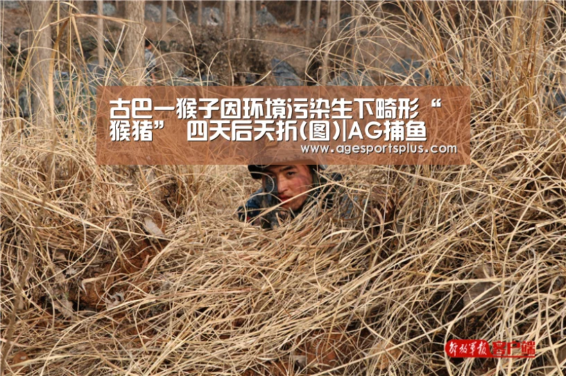 古巴一猴子因环境污染生下畸形“猴猪” 四天后夭折(图)|AG捕鱼(图1) AG平台