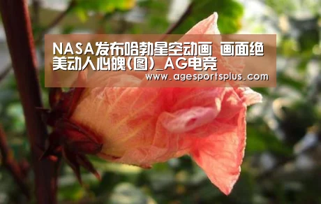 NASA发布哈勃星空动画 画面绝美动人心魄(图)_AG电竞(图2) AG电竞