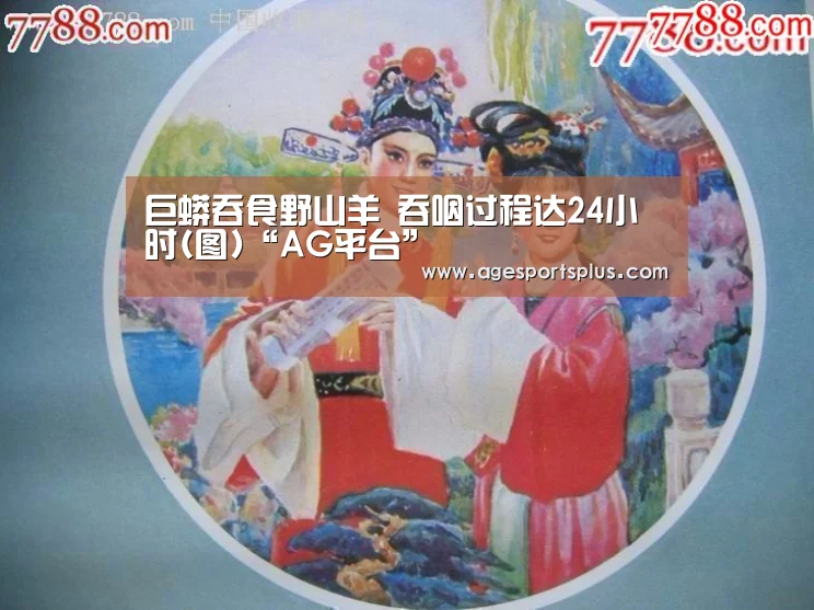 巨蟒吞食野山羊 吞咽过程达24小时(图)“AG平台”(图1) AG国际厅