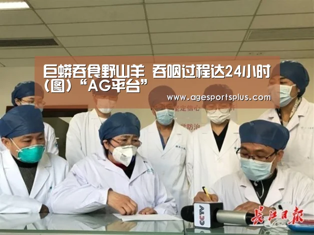 巨蟒吞食野山羊 吞咽过程达24小时(图)“AG平台”(图2) AG国际厅