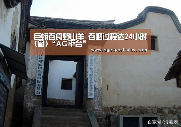 巨蟒吞食野山羊 吞咽过程达24小时(图)“AG平台”(图3) AG捕鱼