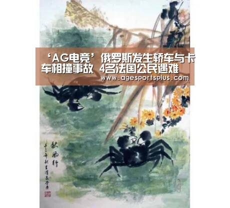 ‘AG电竞’俄罗斯发生轿车与卡车相撞事故 4名法国公民遇难(图1) AG国际厅